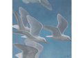 Robert Bateman, “Glaucous-winged Gull Flock,” 2023