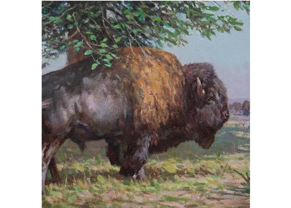 Dwayne Harty, “Plains Bison Near the Bull Mountains, Montana (detail),” no date