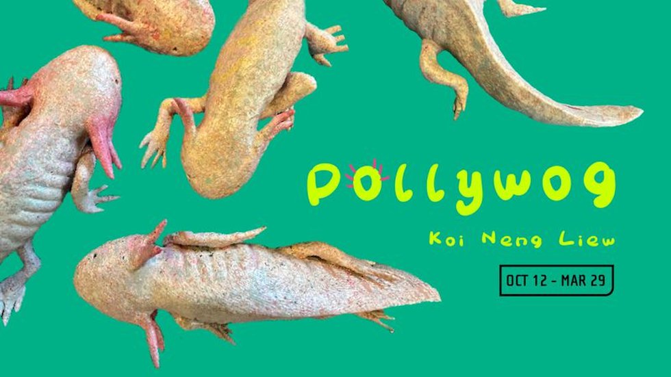 Koi Neng Liew, “Pollywog,” 2024