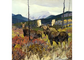 Carl Clemens Moritz Rungius, “Moose, Upper Ram River Valley,” detail, 1935, oil on canvas, 30" x 40" (courtesy of the Whyte Museum Collection)