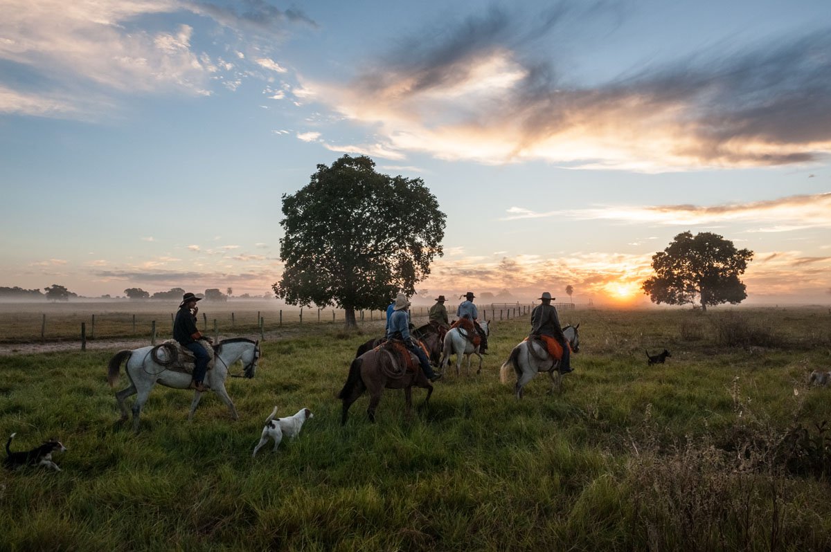 Cowboys of the Americas - Galleries West